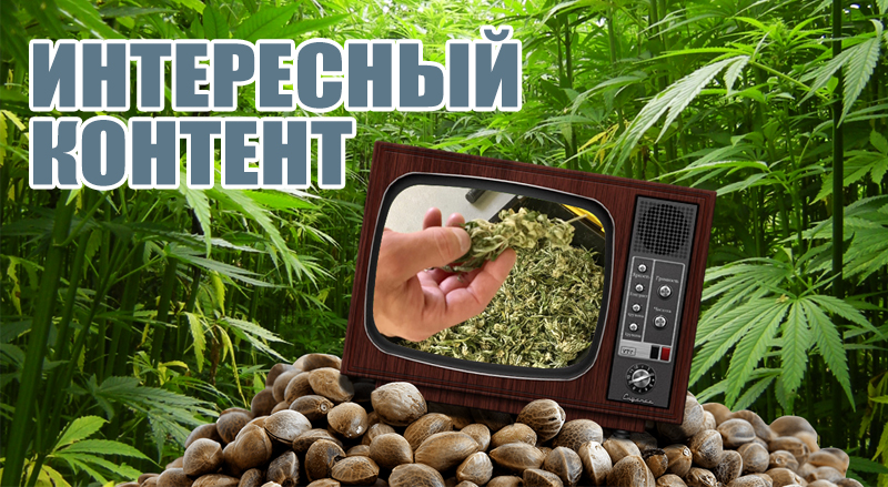 Интересный контент