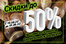 Закрытие летнего сезона! Скидки до 50%!