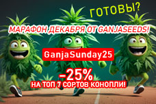 Марафон декабря от GanjaSeeds! Готовы?